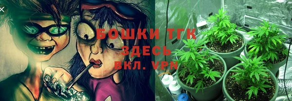 СК Верхний Тагил